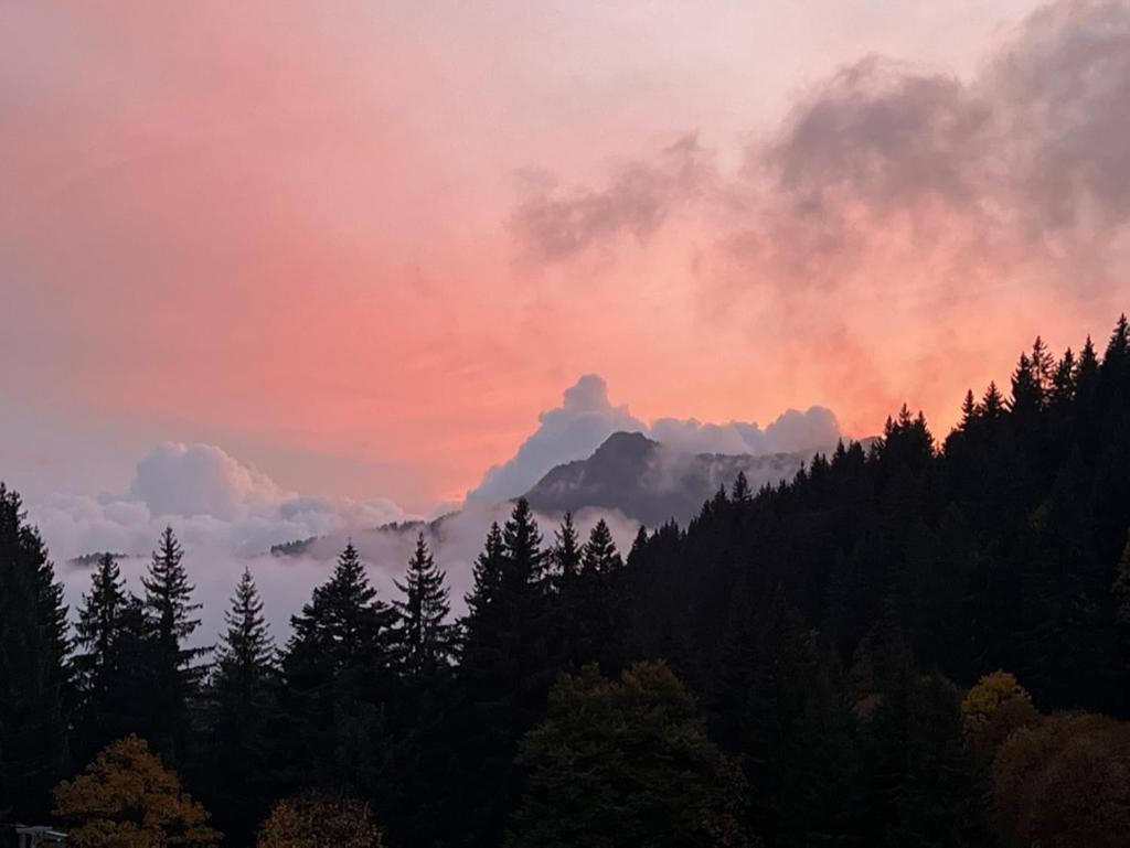 Lodge La Chanterelle - Mountain *