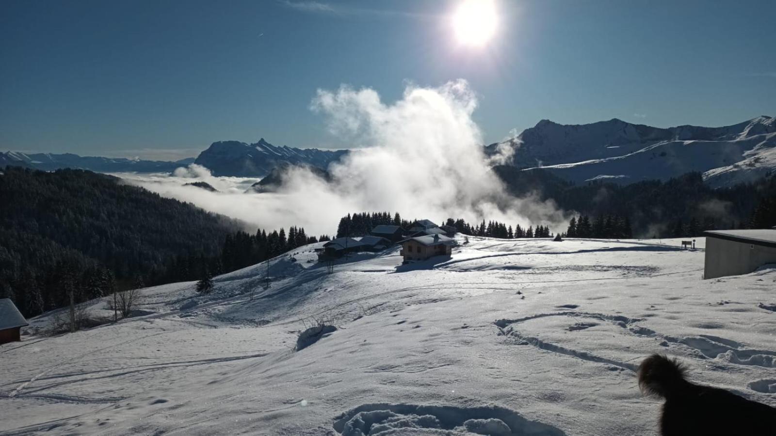 Lodge La Chanterelle - Mountain