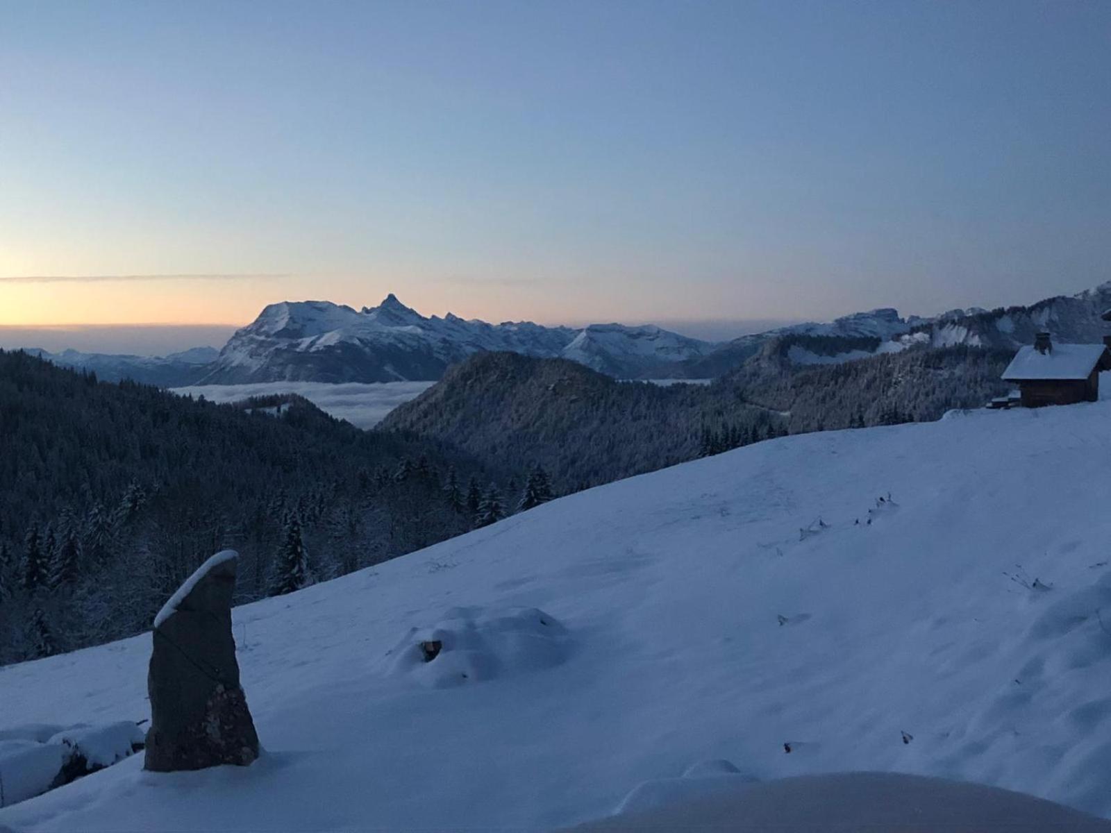 Lodge La Chanterelle - Mountain *