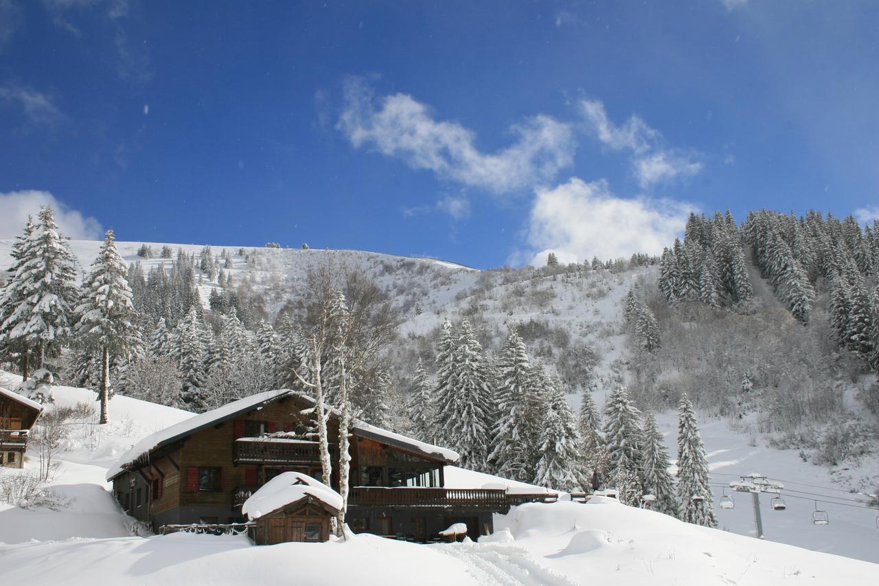 La Chanterelle - Mountain *