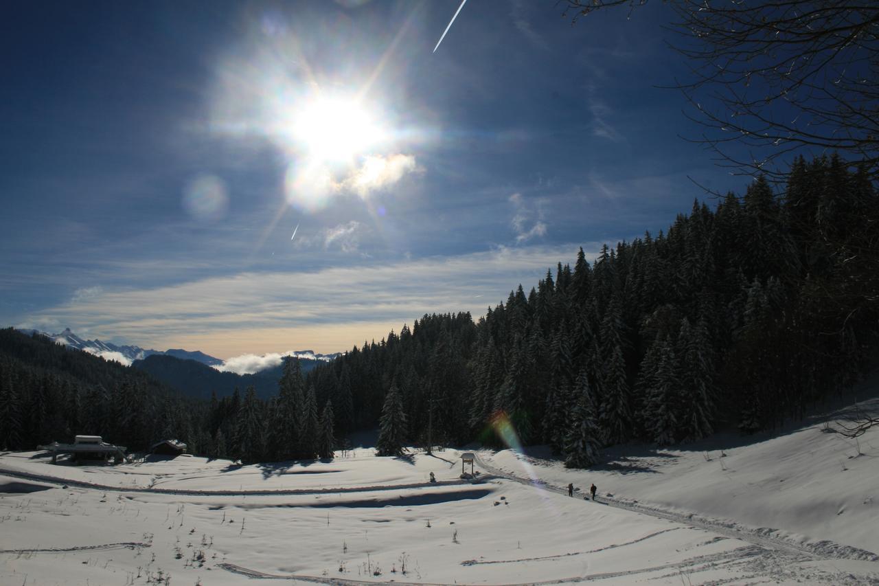 La Chanterelle - Mountain *