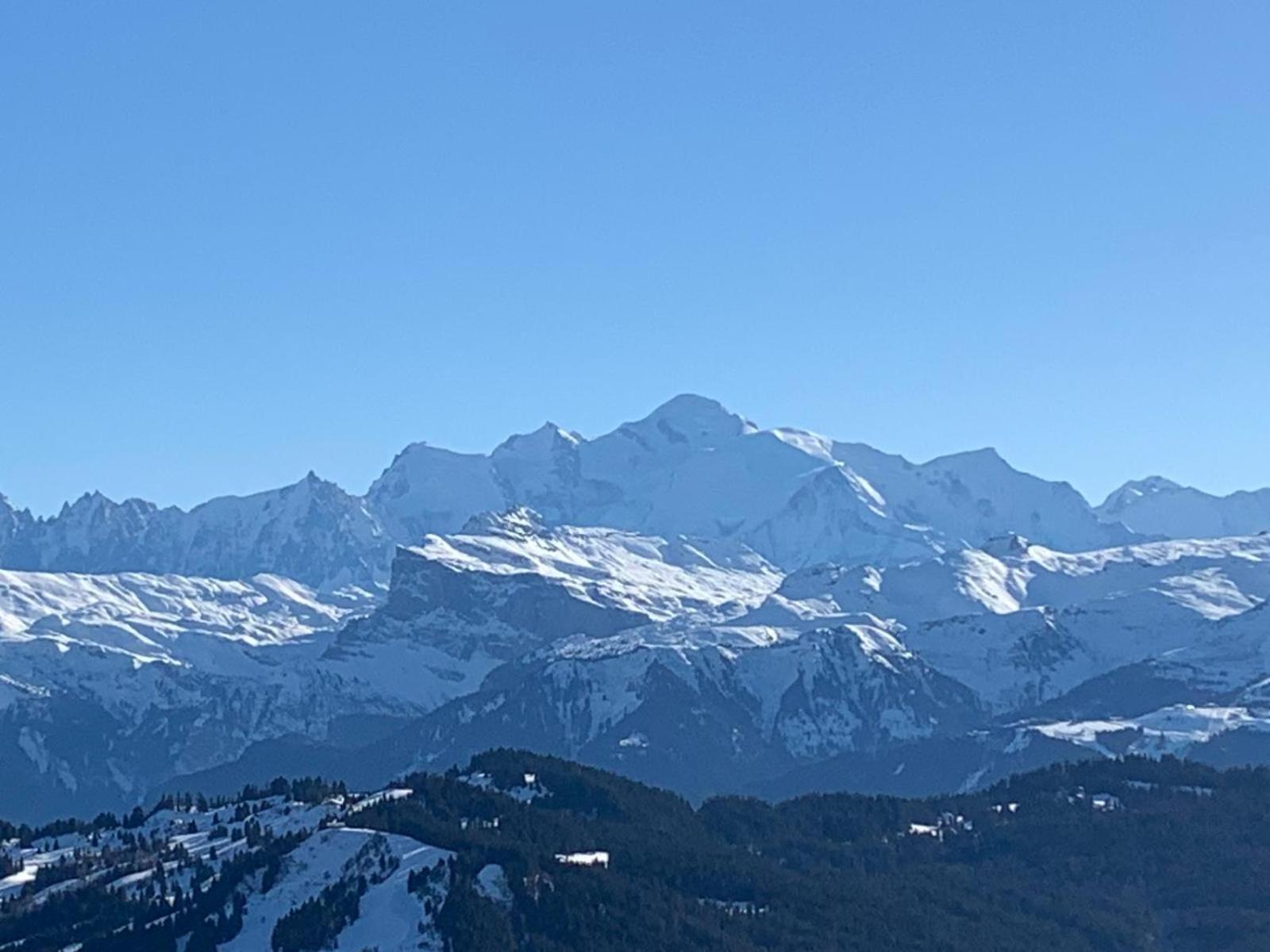 La Chanterelle - Mountain