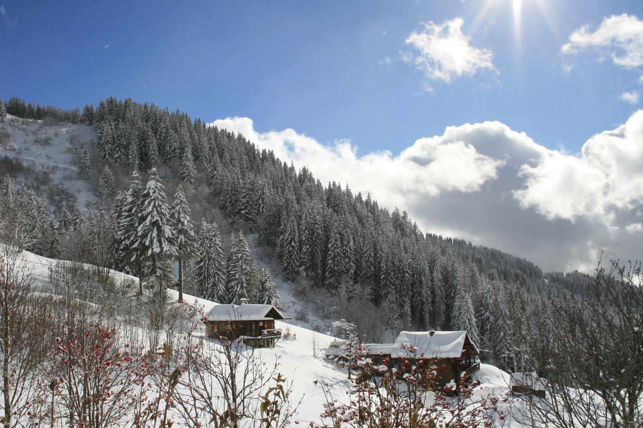 La Chanterelle - Mountain
