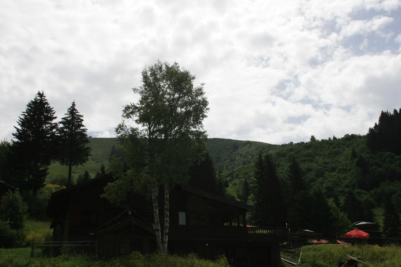 Lodge La Chanterelle - Mountain La Cote d'Arbroz