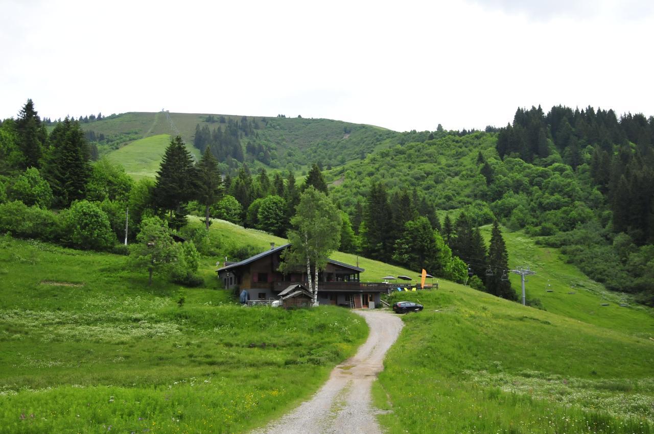 Lodge La Chanterelle - Mountain