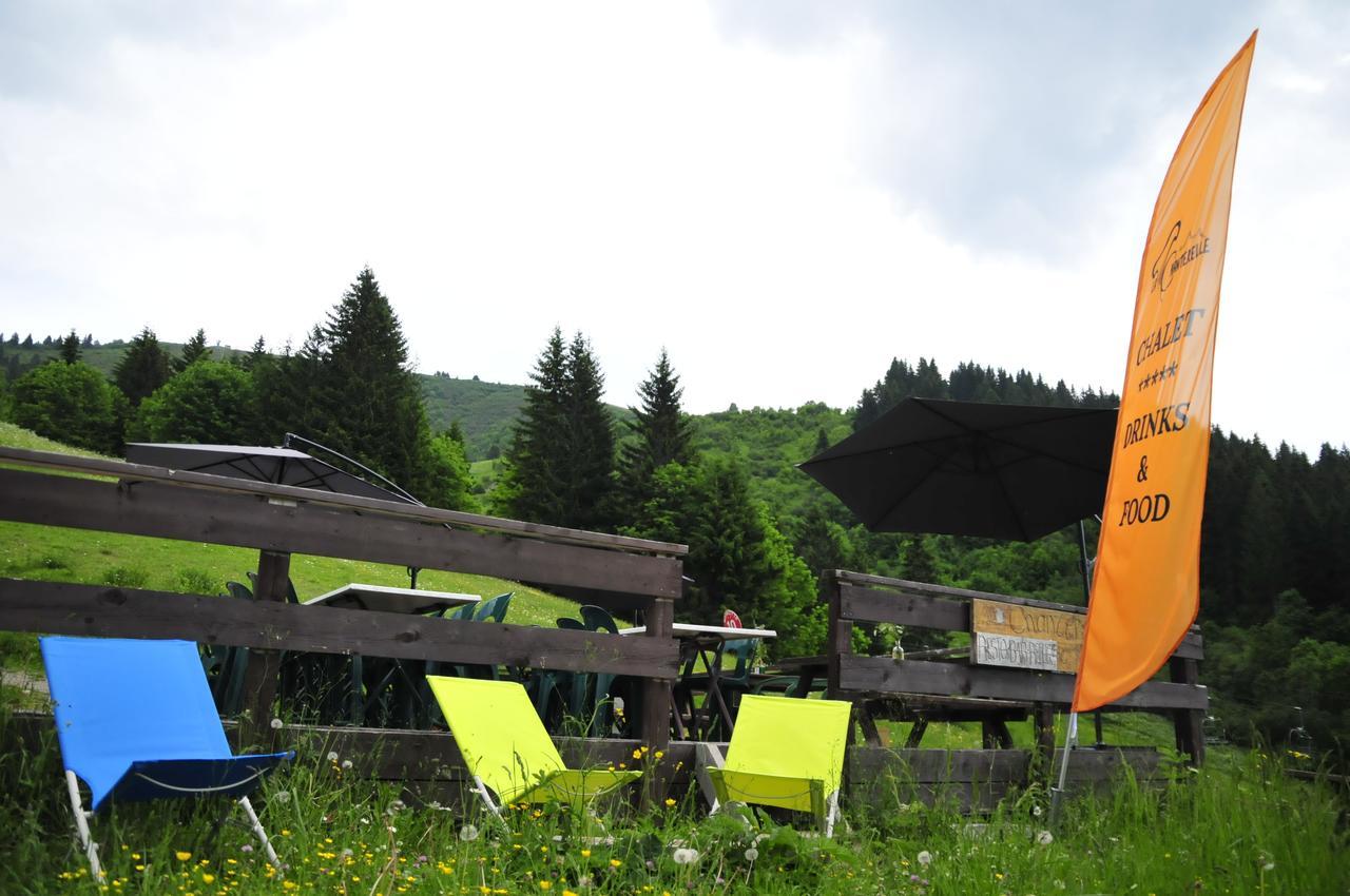 Lodge La Chanterelle - Mountain *